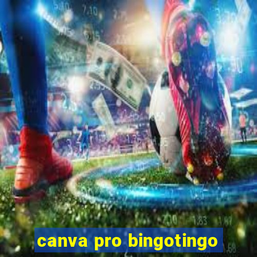 canva pro bingotingo